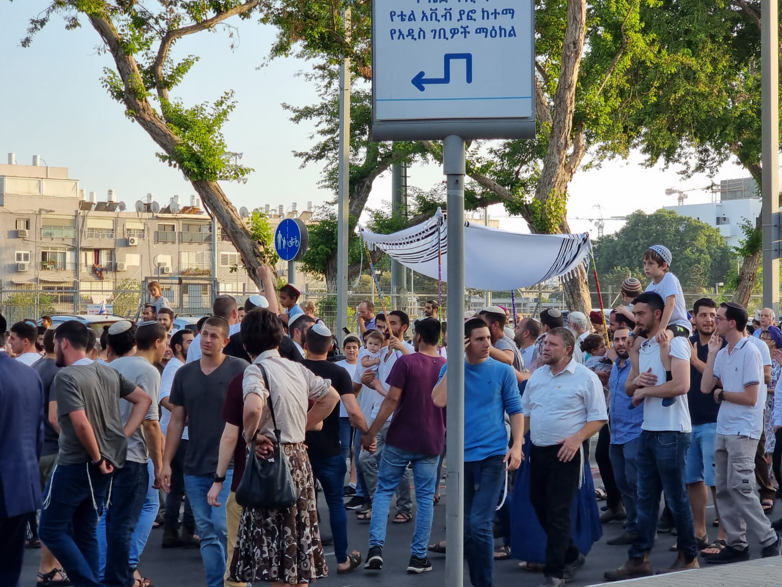 WhatsApp Image 2022-05-31 at 6.50.52 PM.jpeg